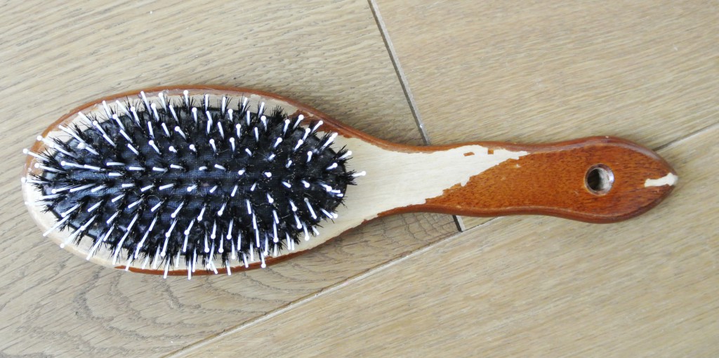 Haarbürsten reinigen mit dem Staubsauger | Rosanisiert