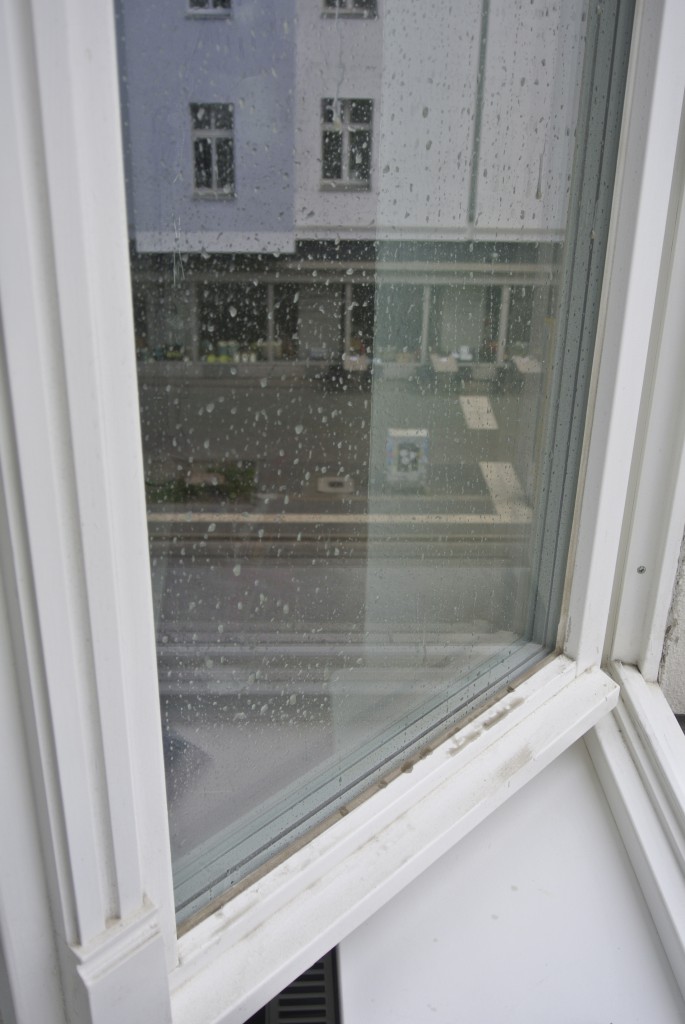 Fensterputzen - die besten Tipps bei Rosanisiert